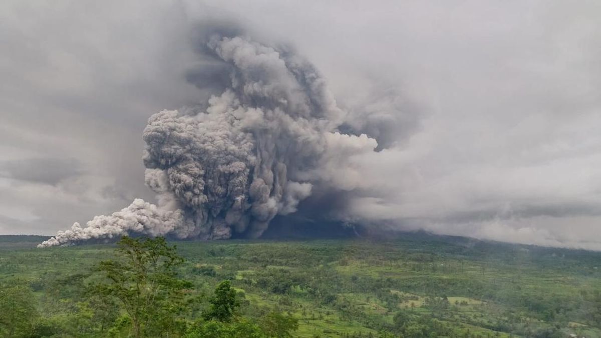 Semeru Mengamuk Lagi! Gunung Tertinggi di Jawa Erupsi Hari Ini dengan Status Siaga